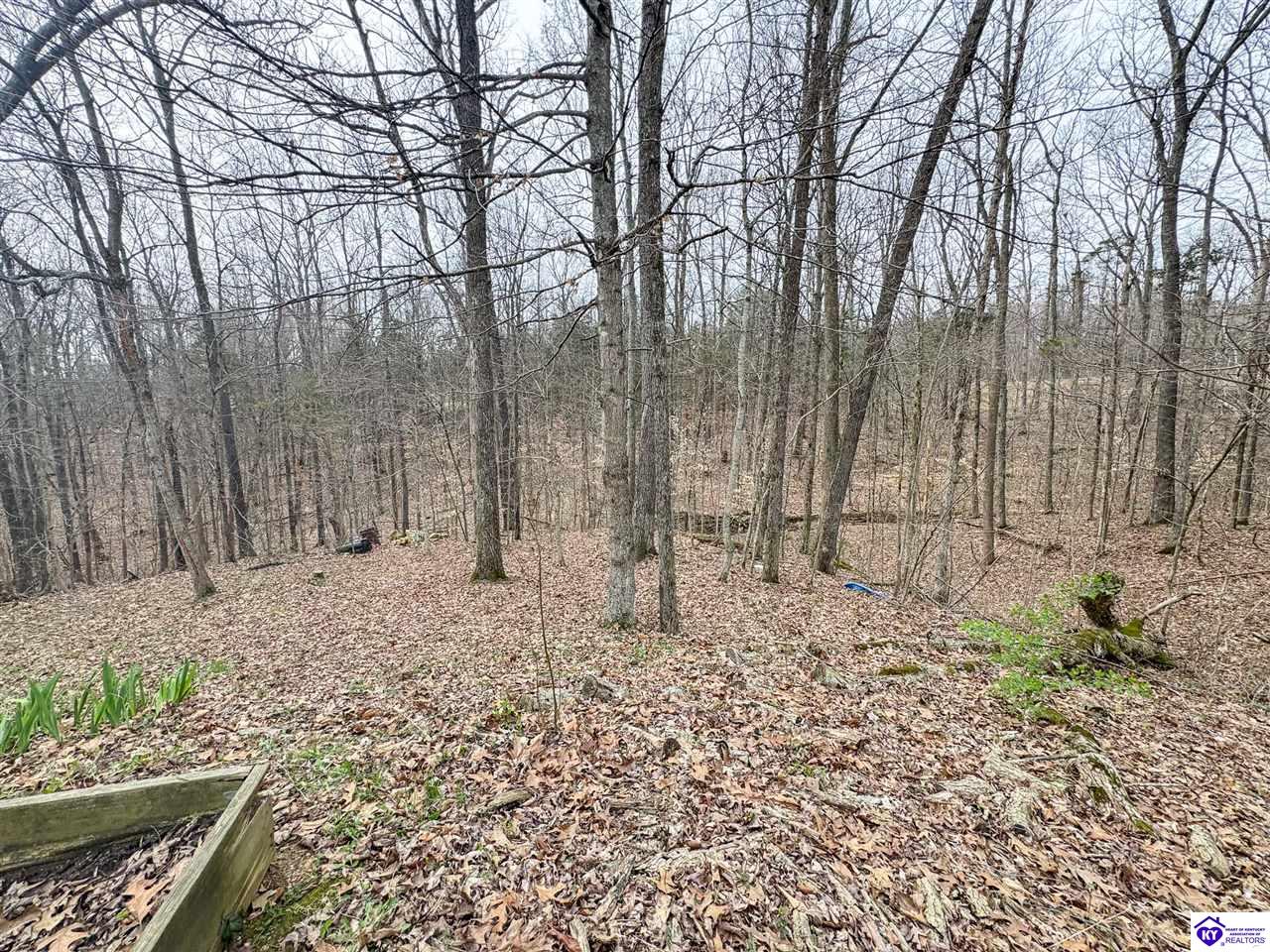 6383 Battle Training Road Property Photo 3