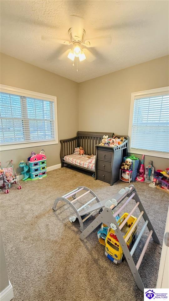 200 Skyview Drive Property Photo 27