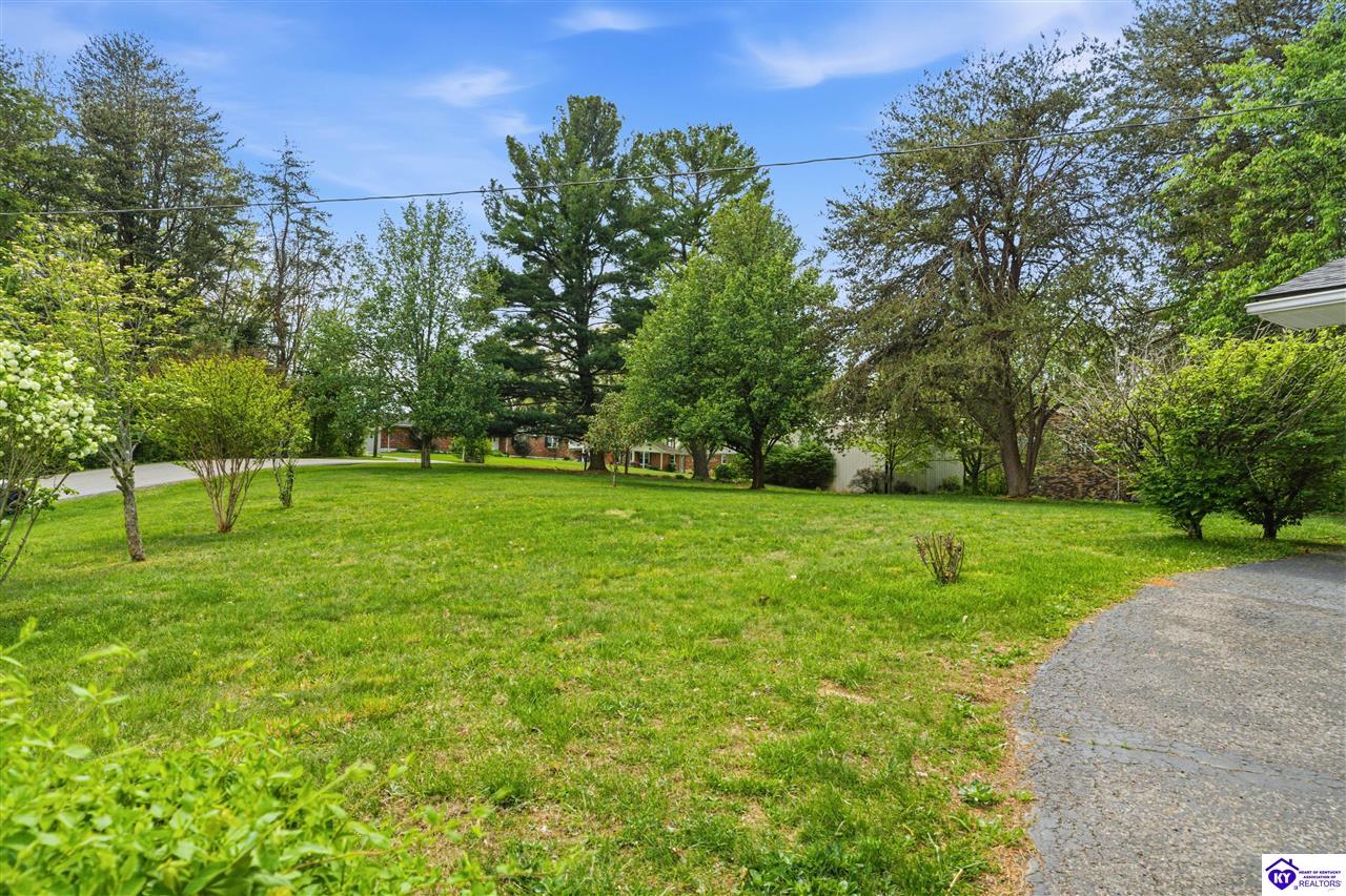 109 Fireside Drive Property Photo 32