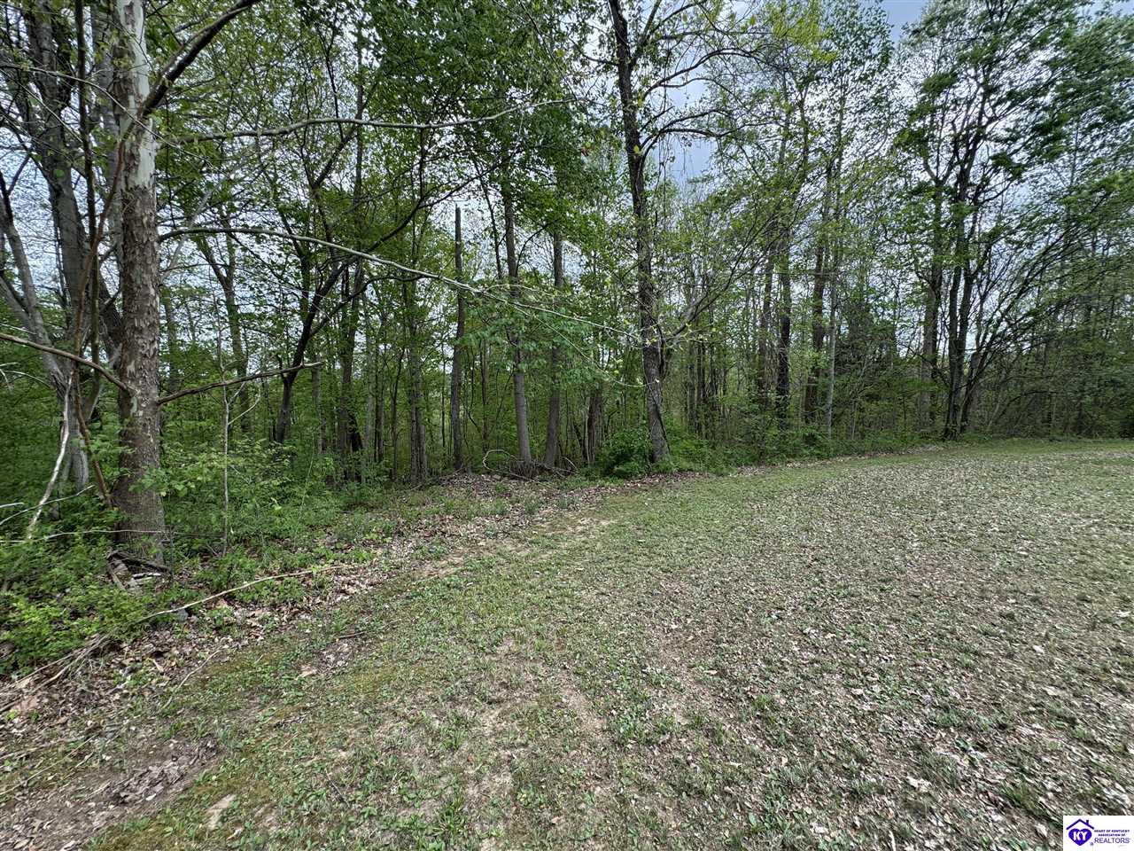 704 Harper Henderson Lane Property Photo 21