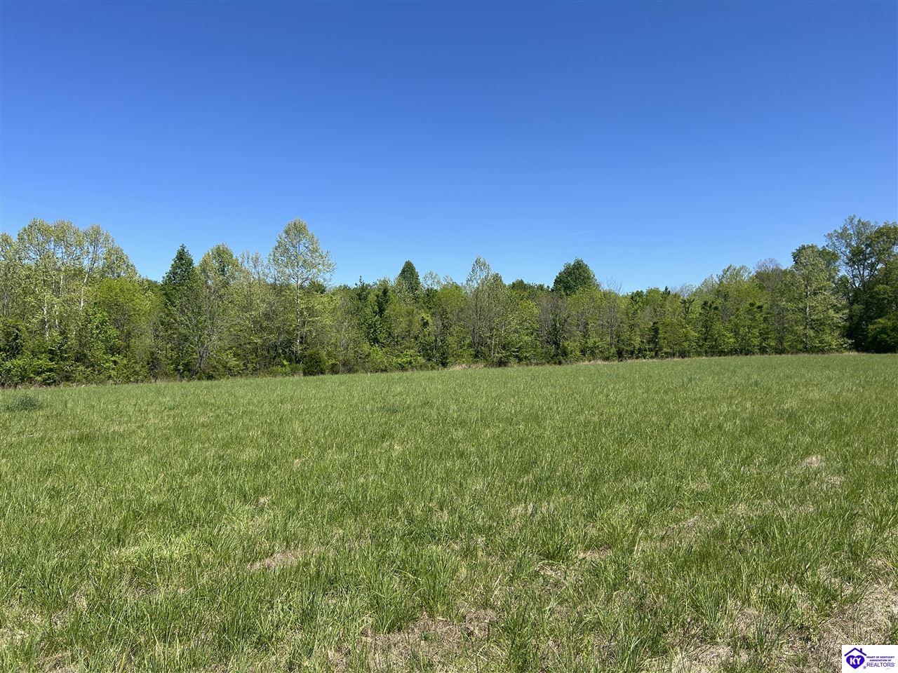 Post Tousey Road Property Photo 10