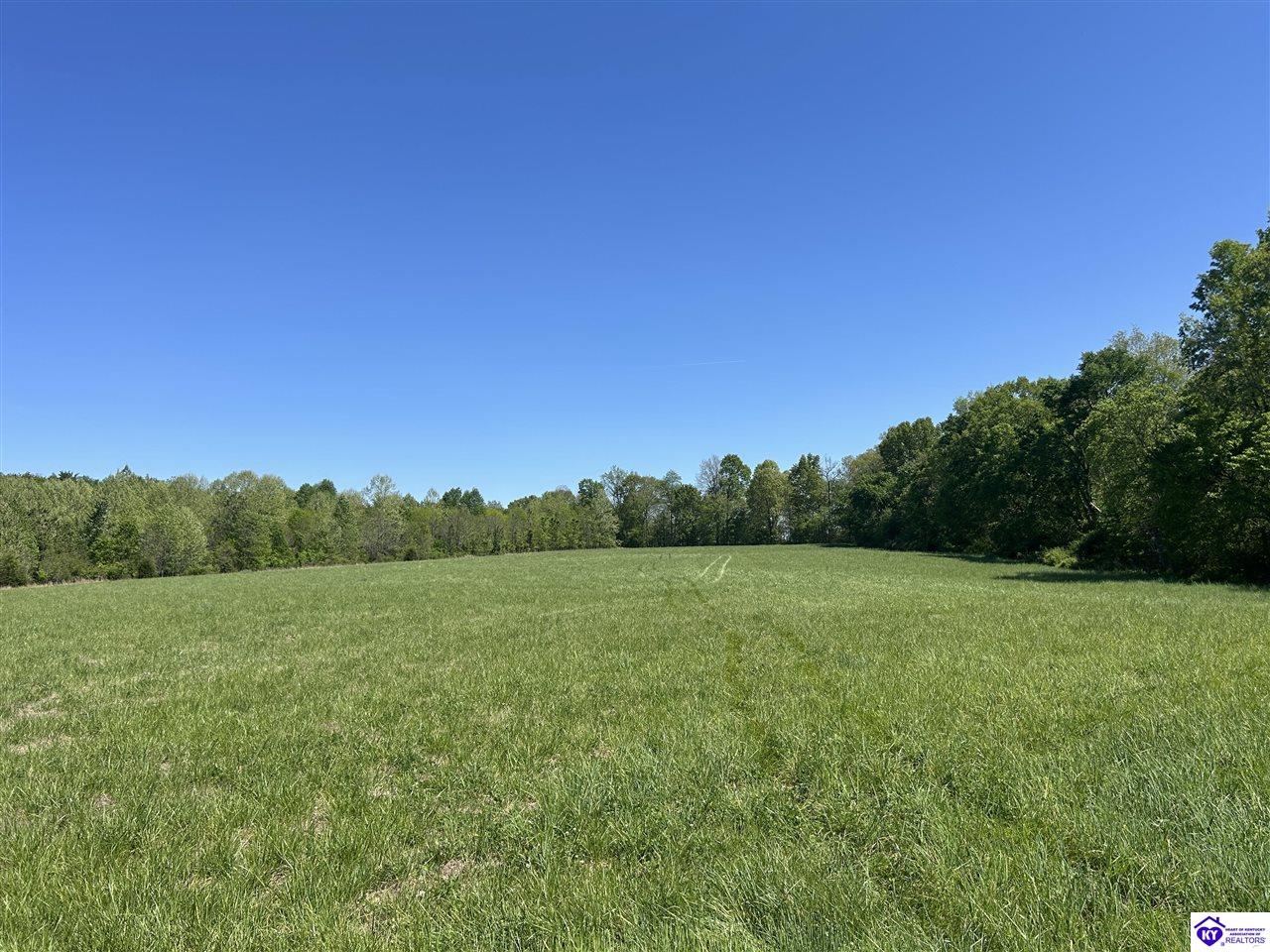 Post Tousey Road Property Photo 13