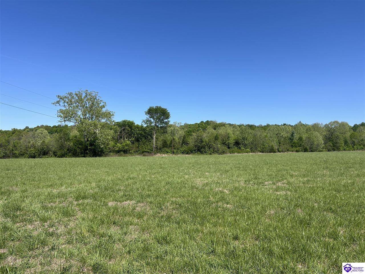 Post Tousey Road Property Photo 14
