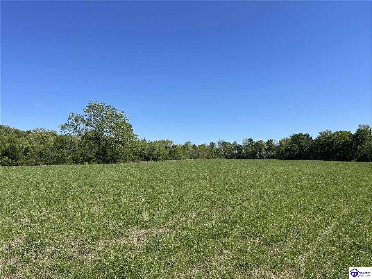 Post Tousey Road Property Photo 15