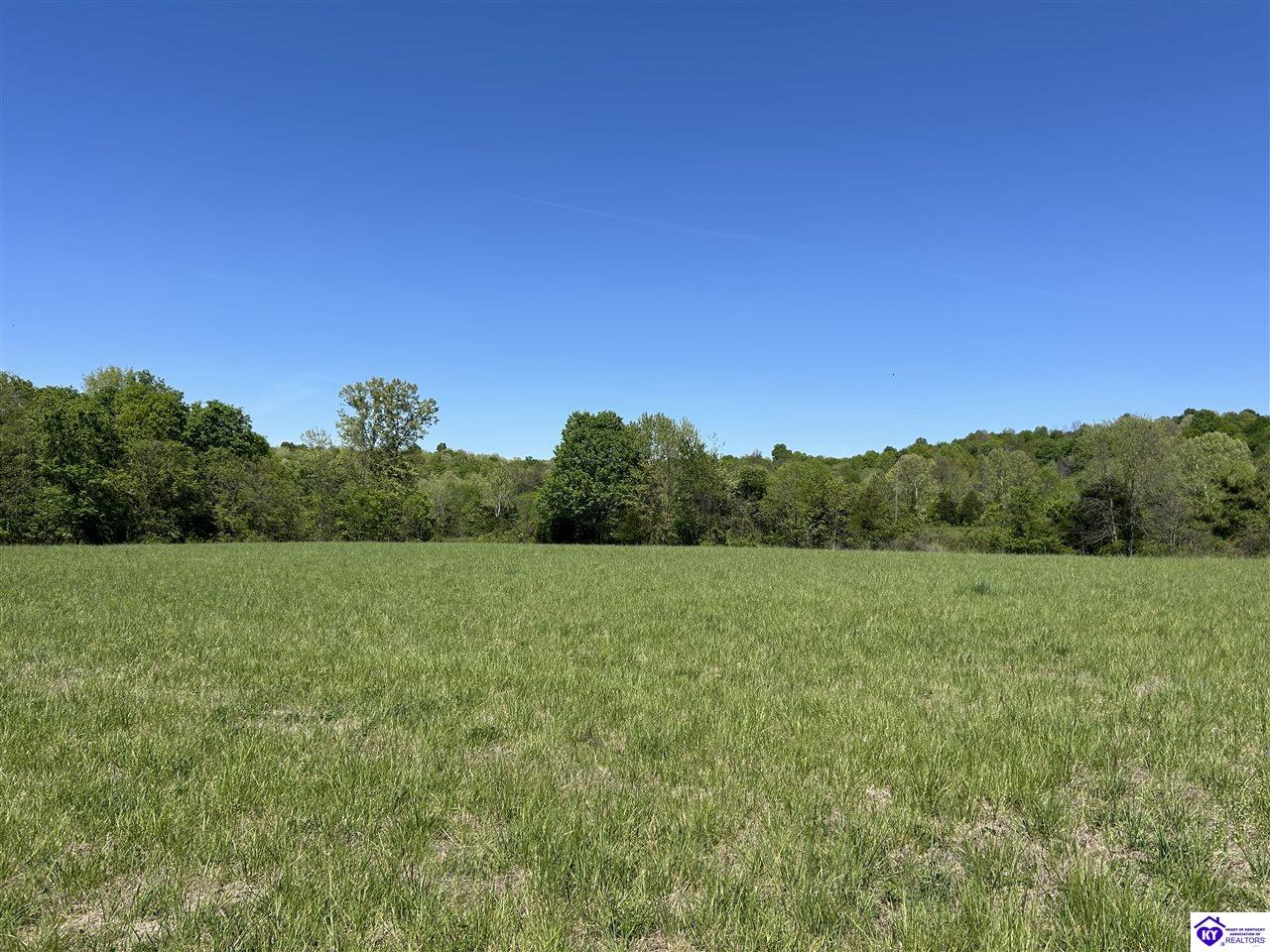 Post Tousey Road Property Photo 16