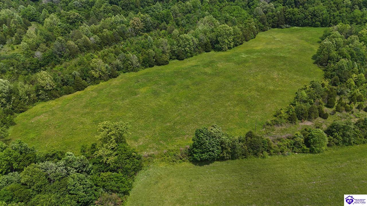 Post Tousey Road Property Photo 21