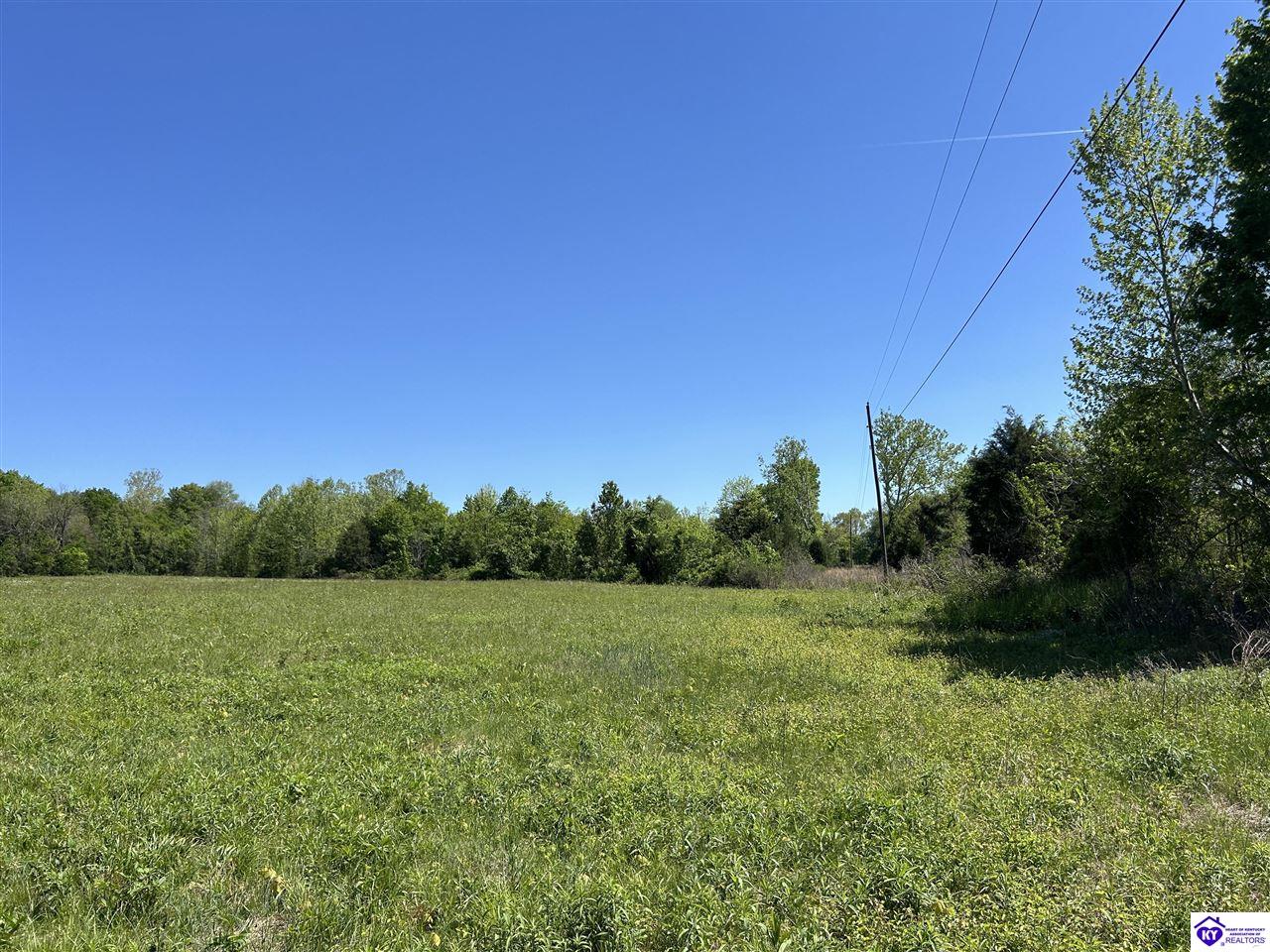 Post Tousey Road Property Photo 25