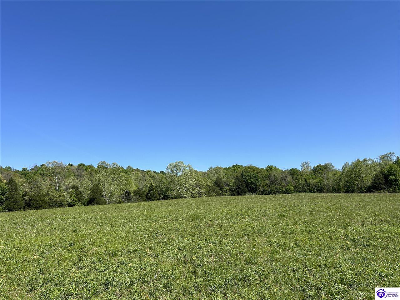 Post Tousey Road Property Photo 26