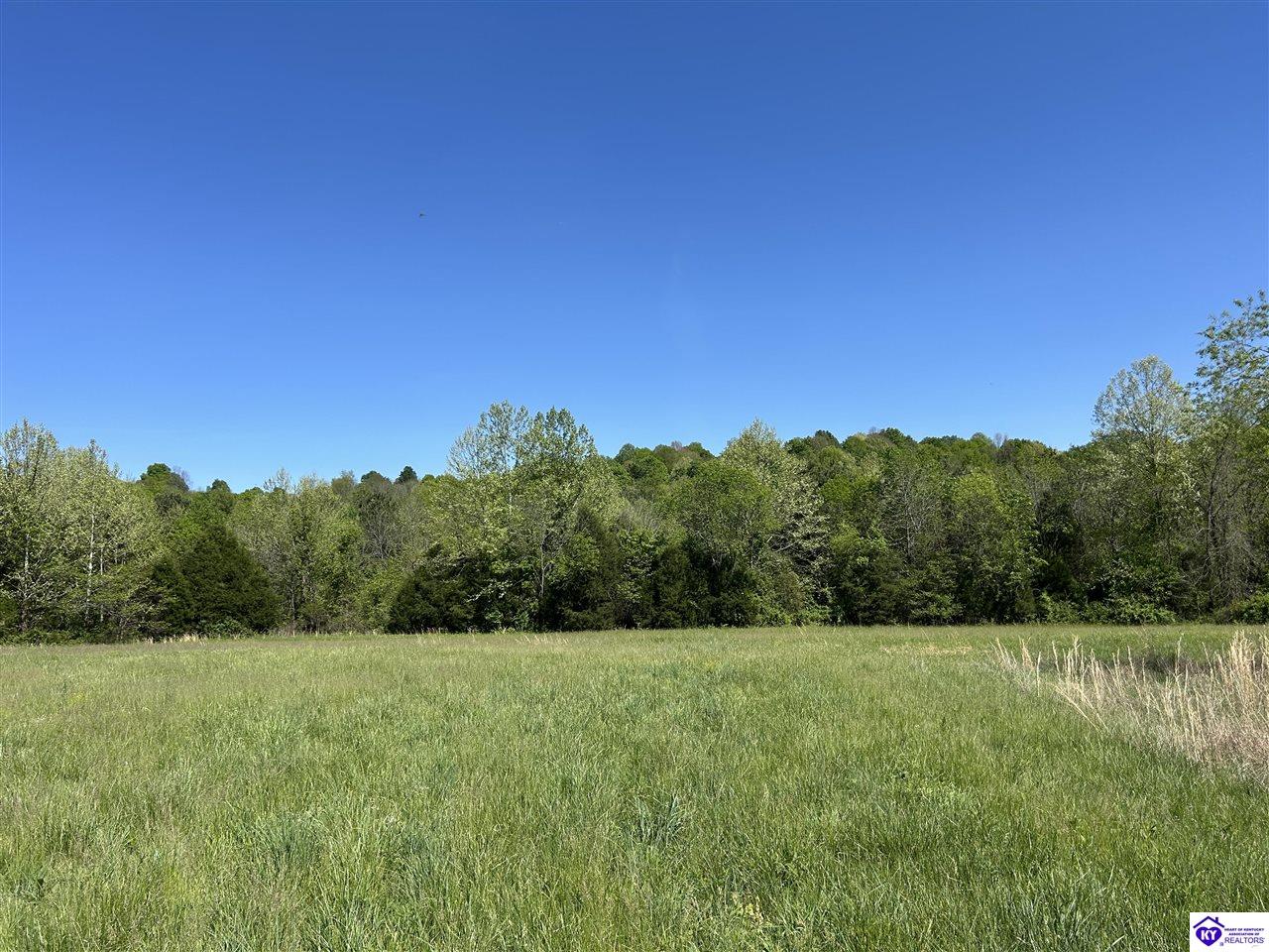 Post Tousey Road Property Photo 33