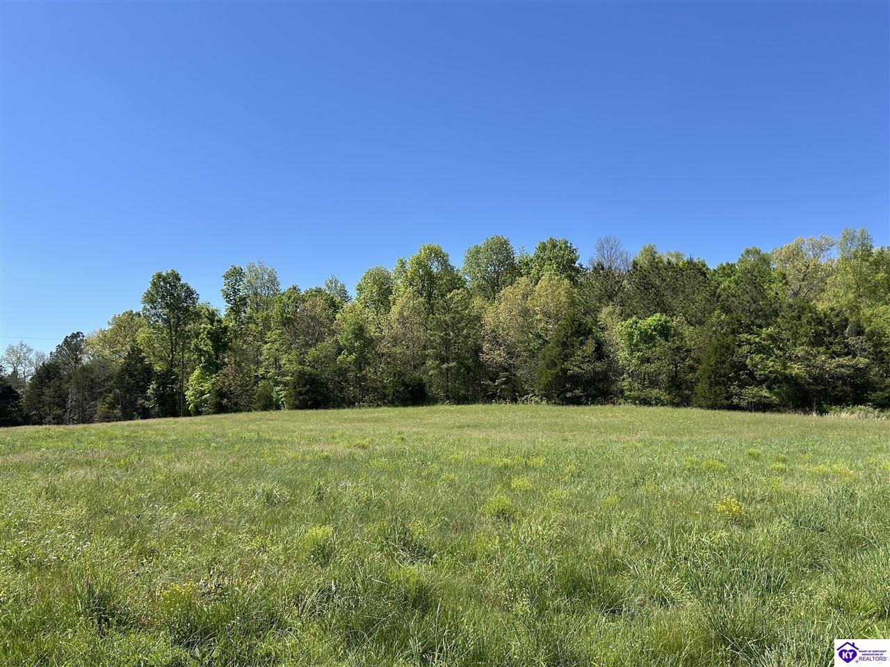 Post Tousey Road Property Photo 35