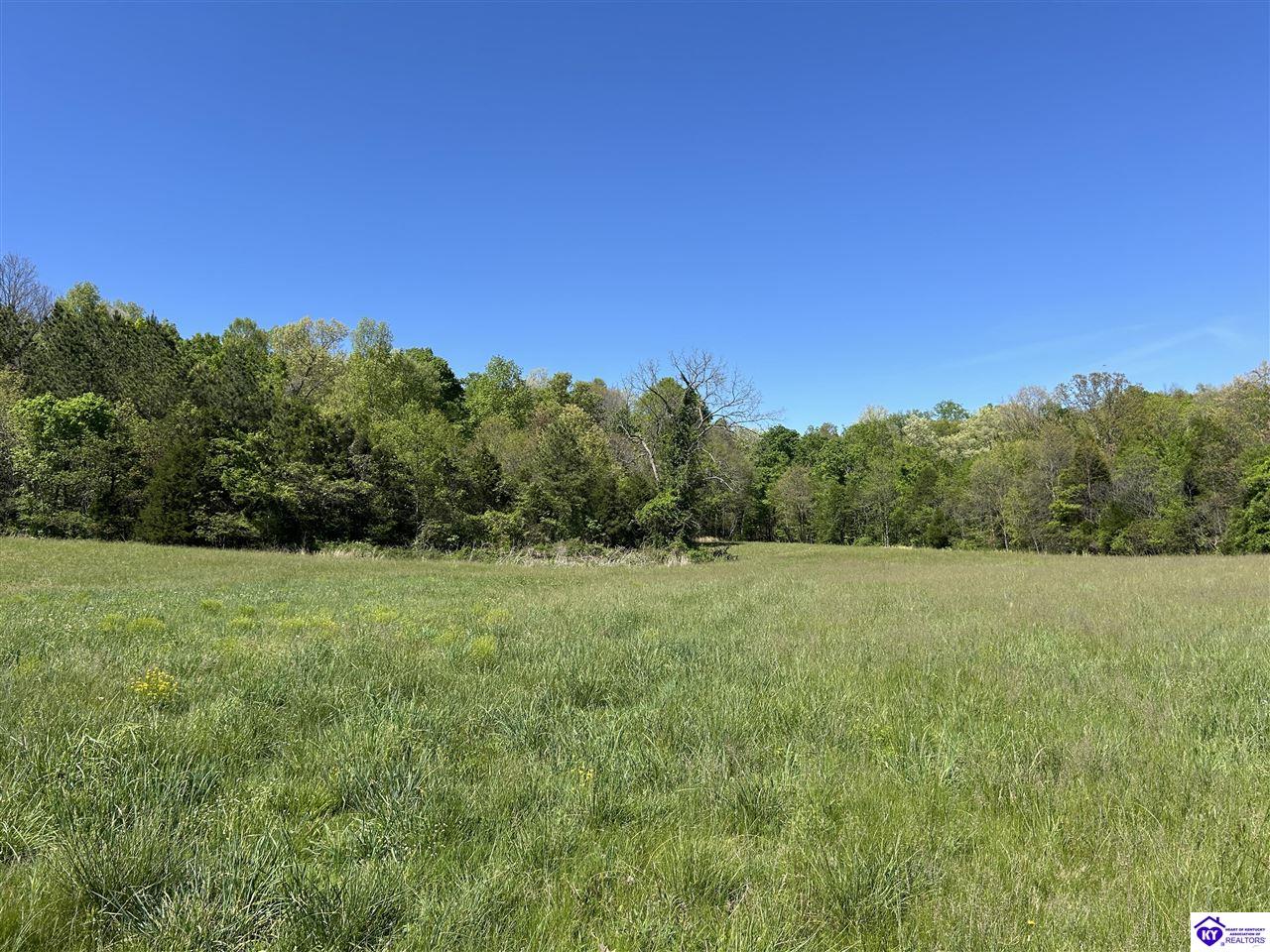 Post Tousey Road Property Photo 36