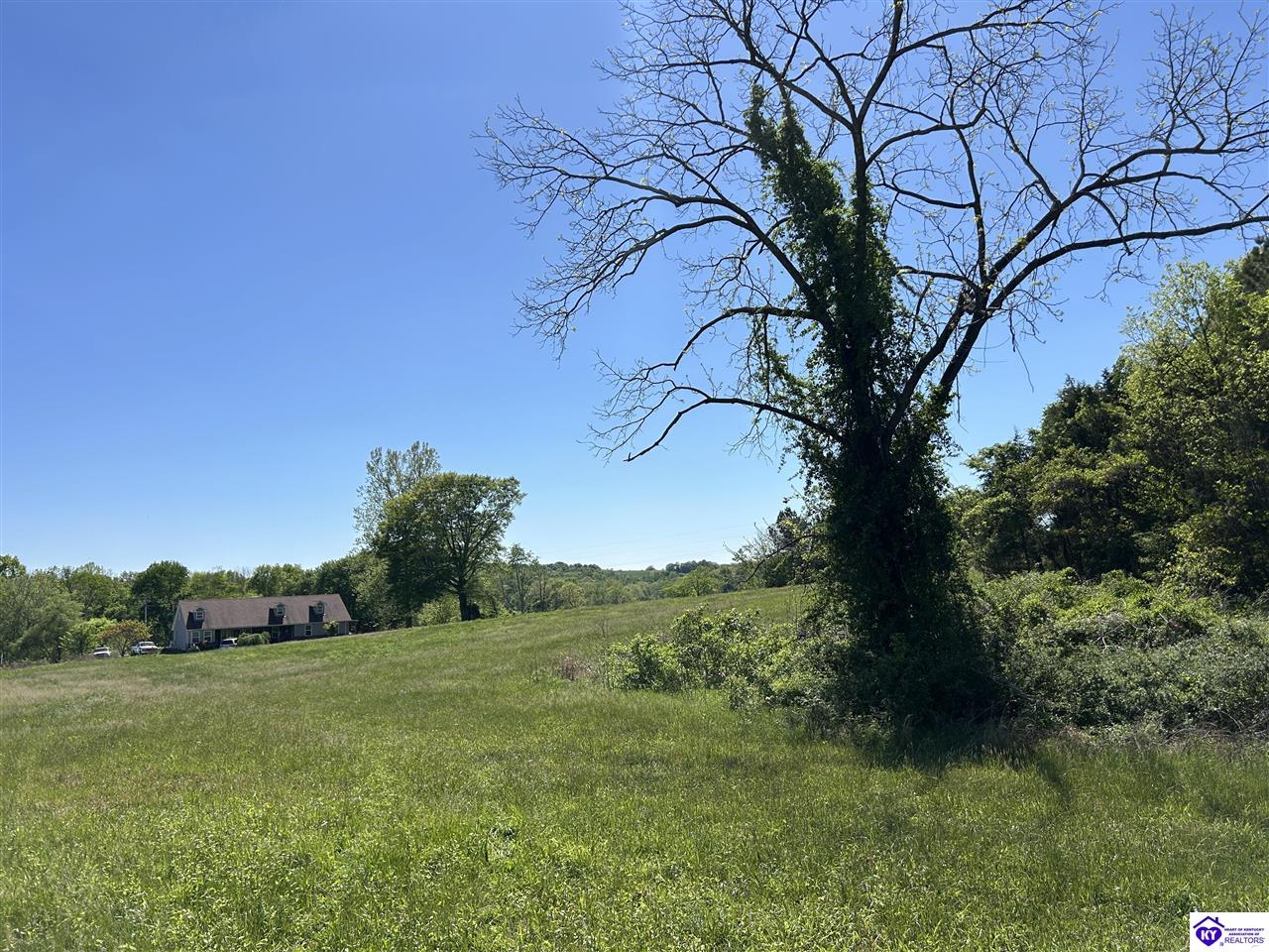 Post Tousey Road Property Photo 38