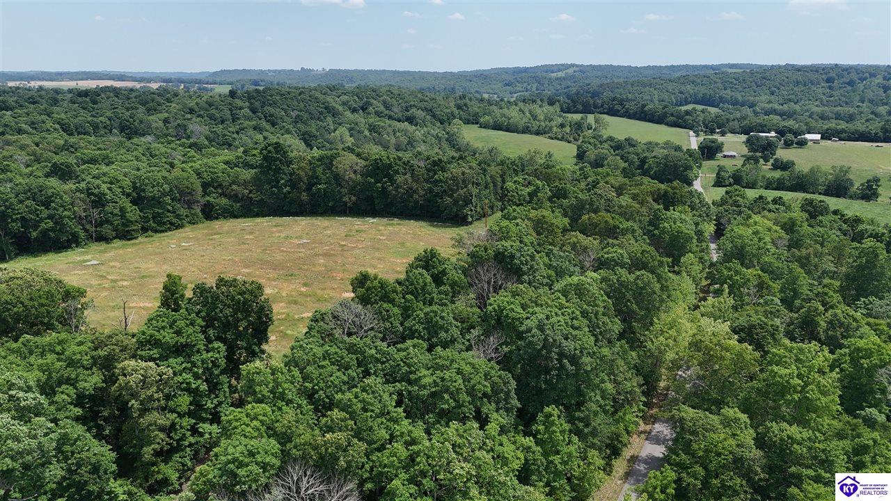 Post Tousey Road Property Photo 44