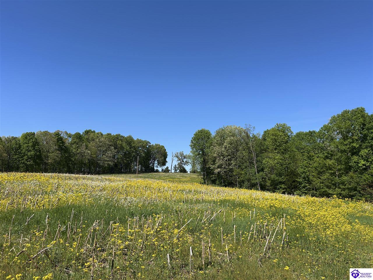 Post Tousey Road Property Photo 45