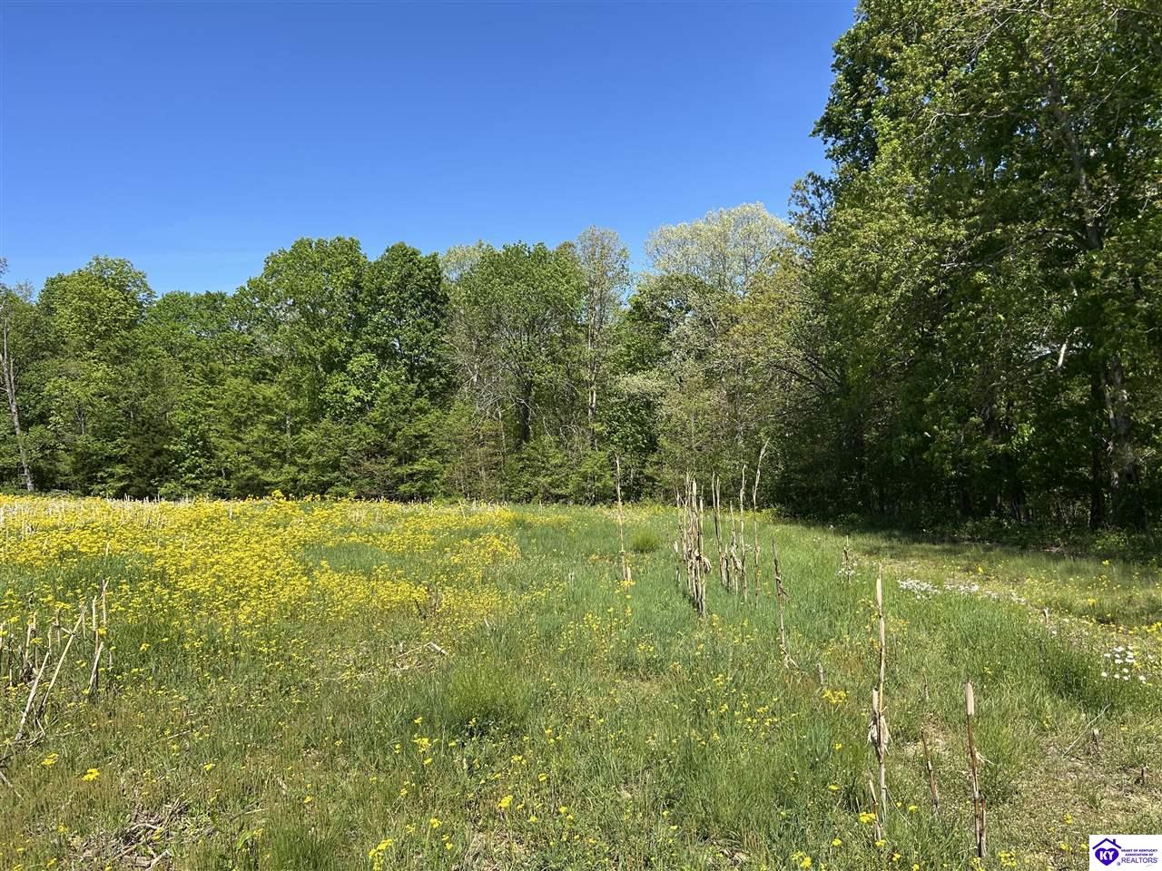 Post Tousey Road Property Photo 46