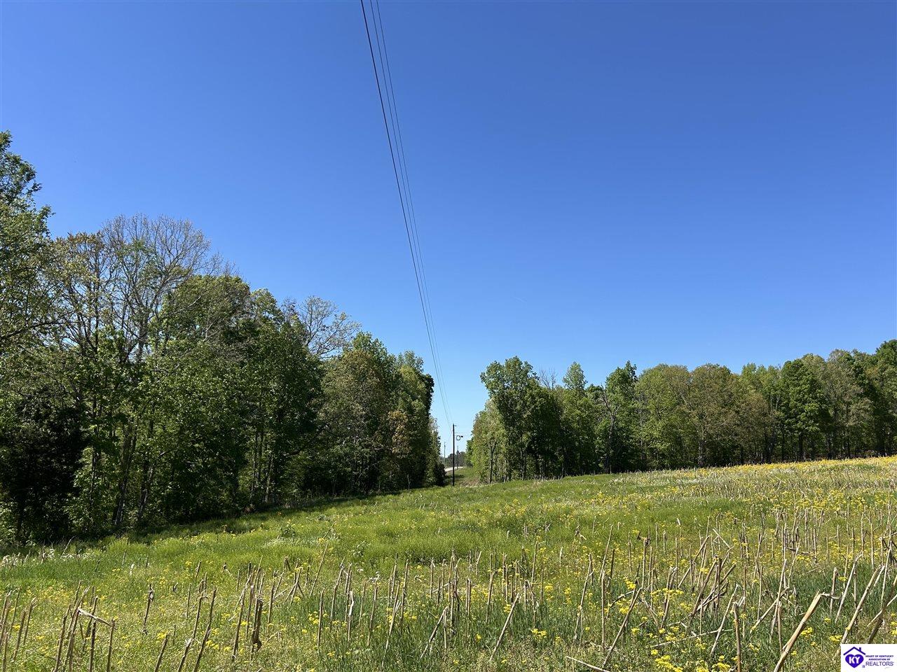 Post Tousey Road Property Photo 47