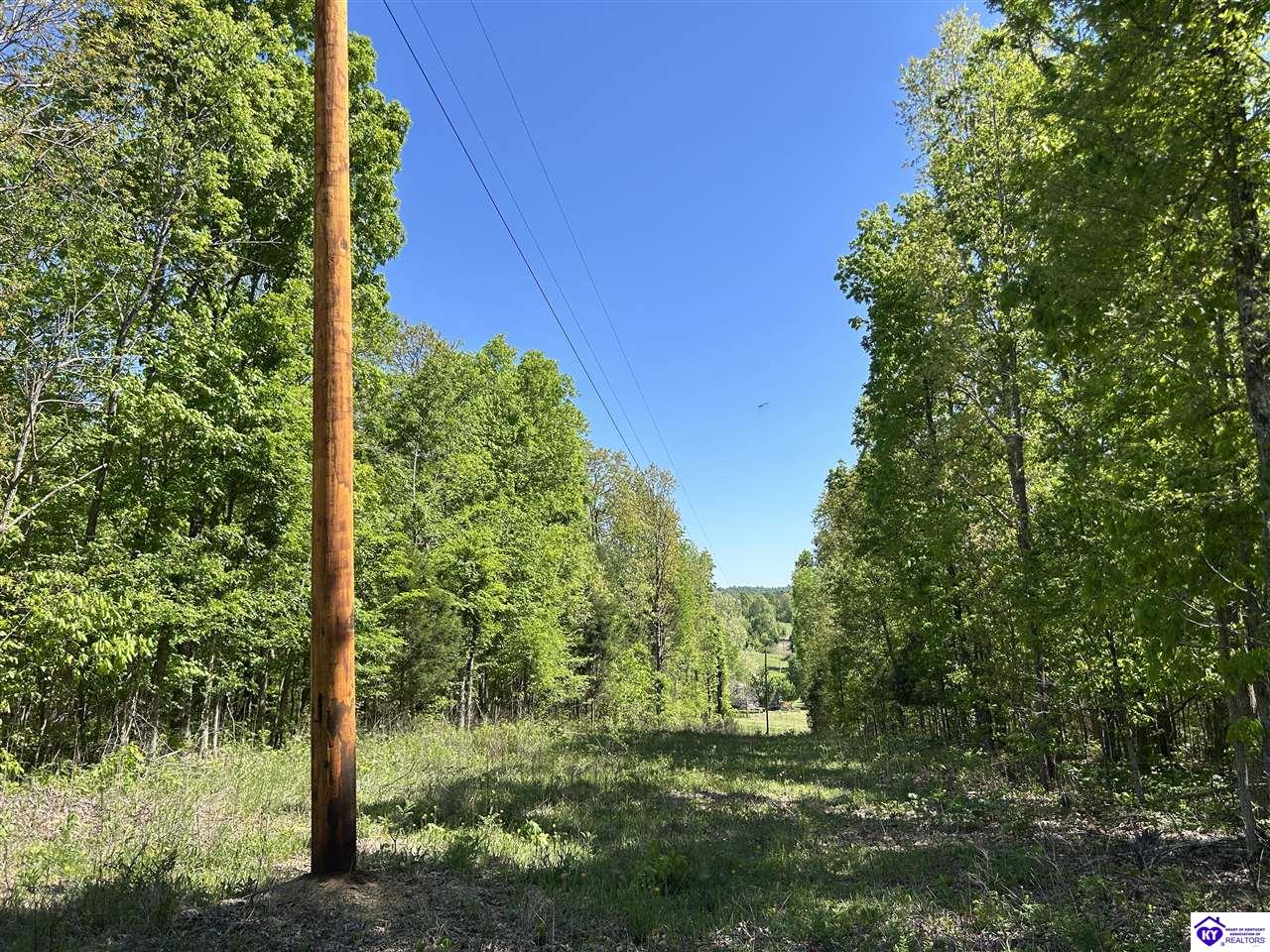Post Tousey Road Property Photo 48