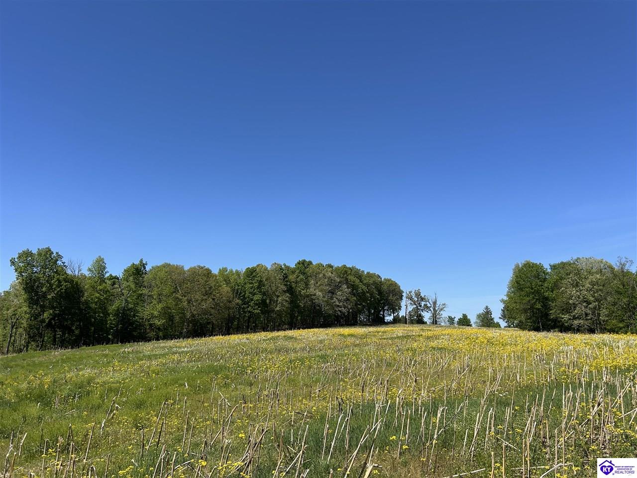 Post Tousey Road Property Photo 50