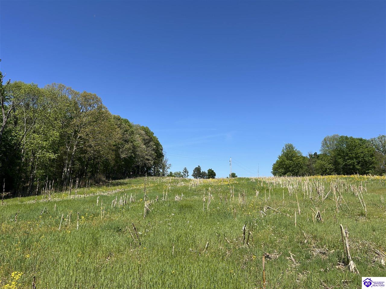 Post Tousey Road Property Photo 51