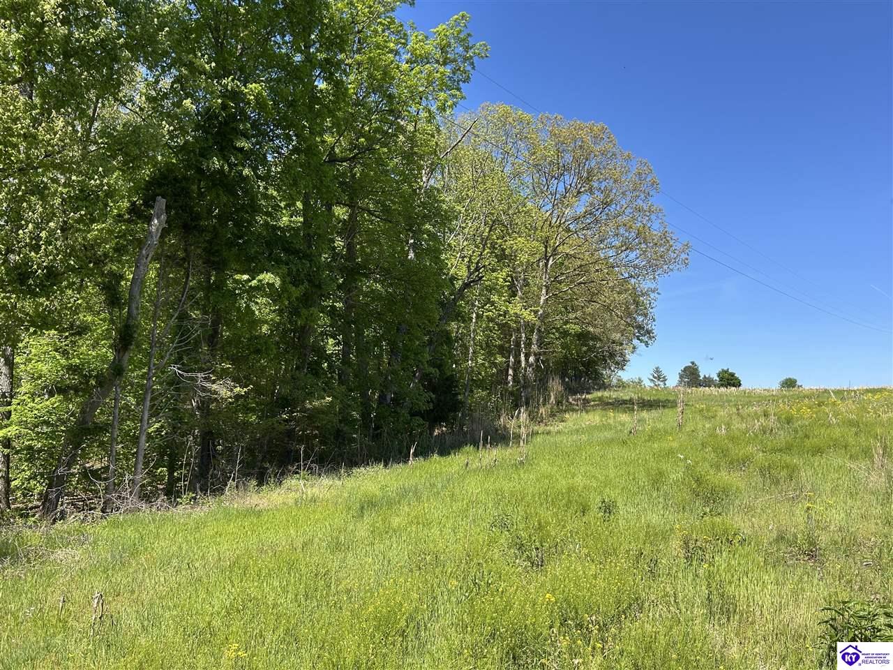 Post Tousey Road Property Photo 52