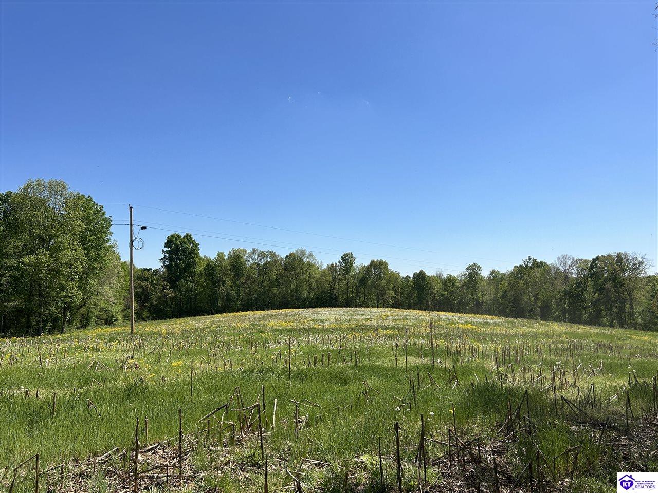 Post Tousey Road Property Photo 53