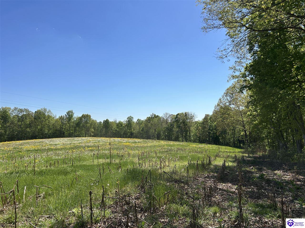 Post Tousey Road Property Photo 54