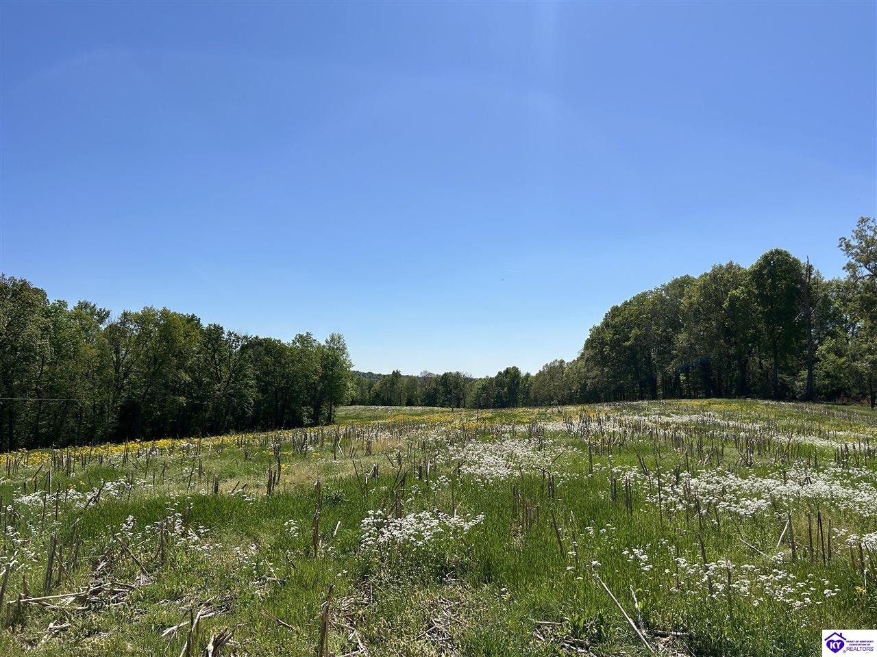 Post Tousey Road Property Photo 55