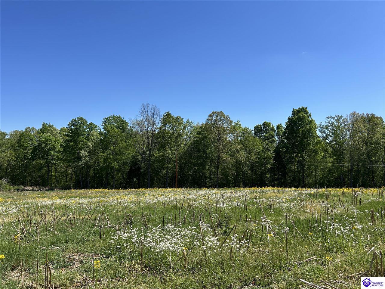 Post Tousey Road Property Photo 56