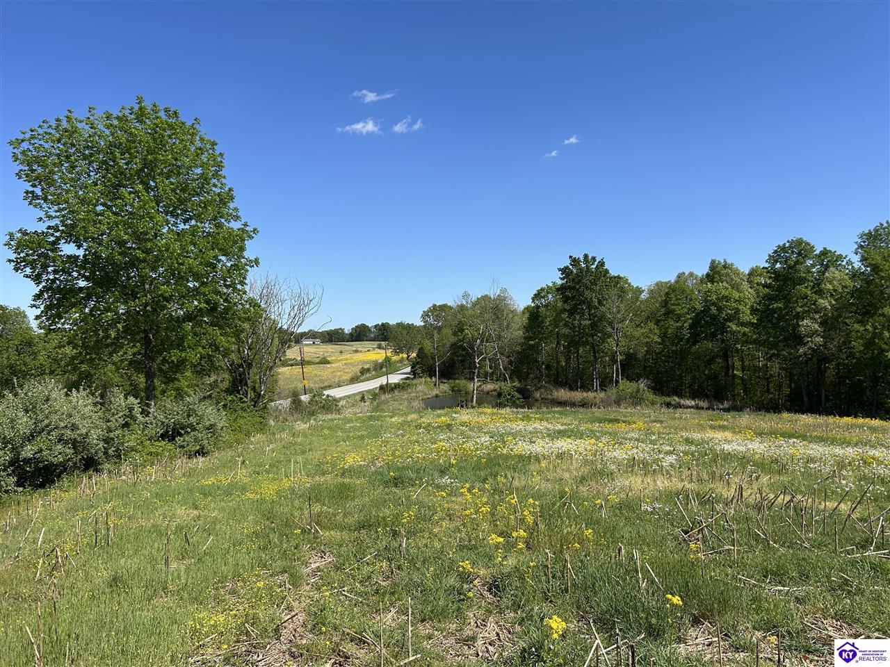 Post Tousey Road Property Photo 57