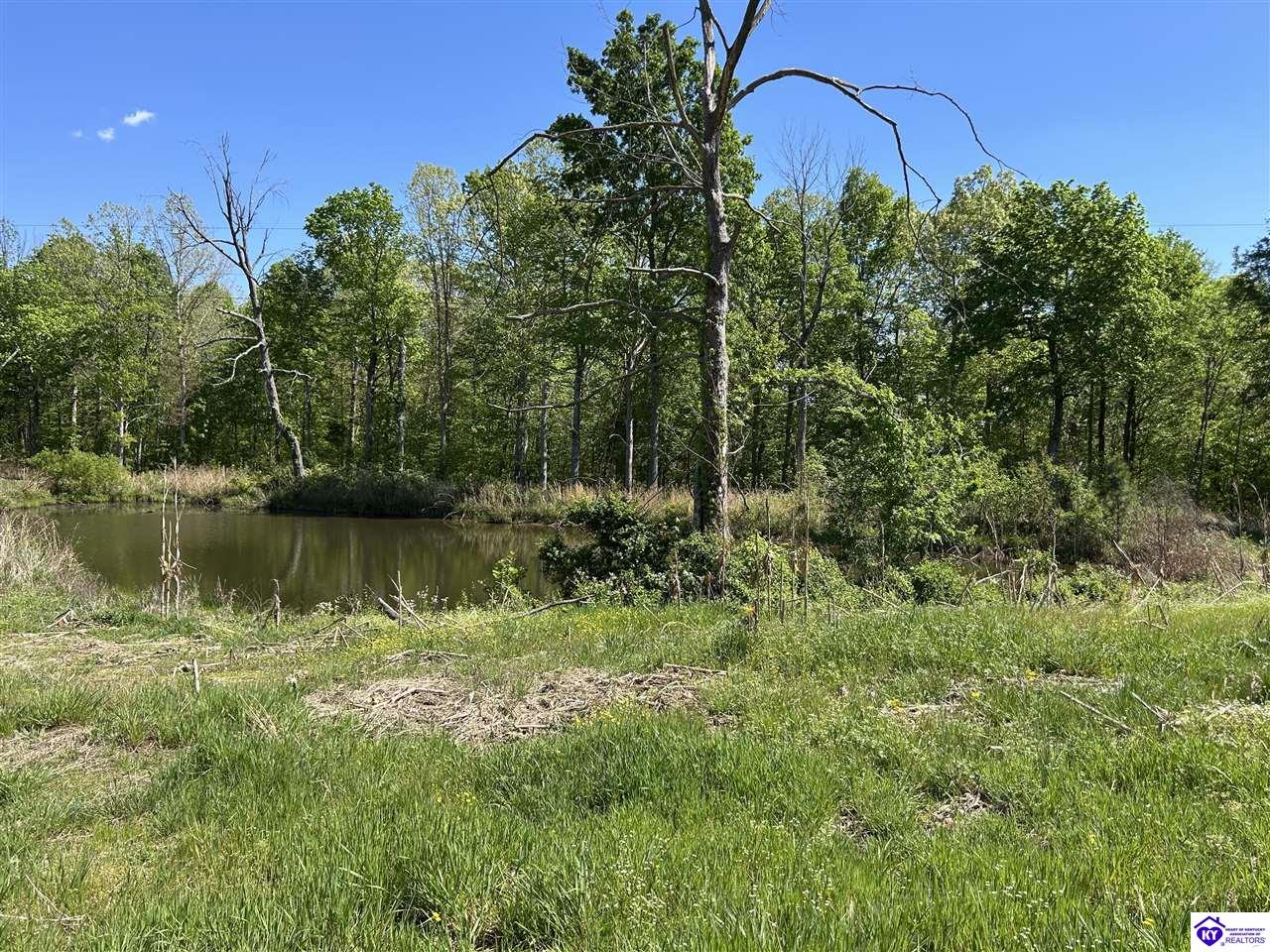 Post Tousey Road Property Photo 61