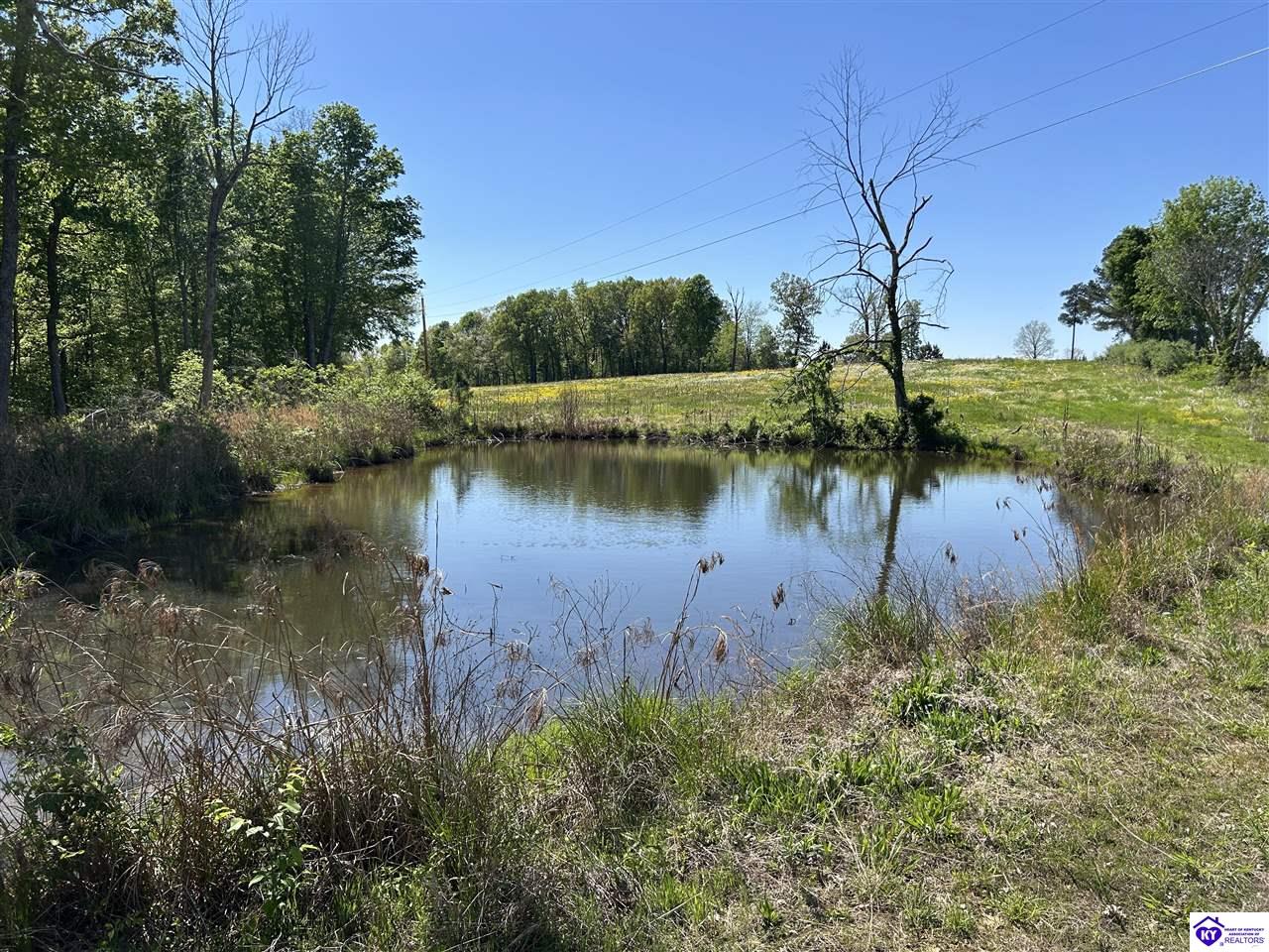 Post Tousey Road Property Photo 62