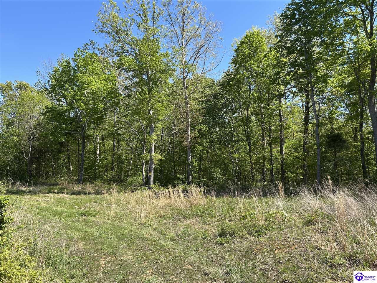 Post Tousey Road Property Photo 63