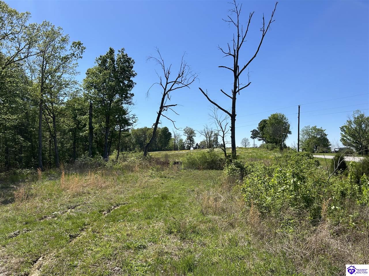 Post Tousey Road Property Photo 64