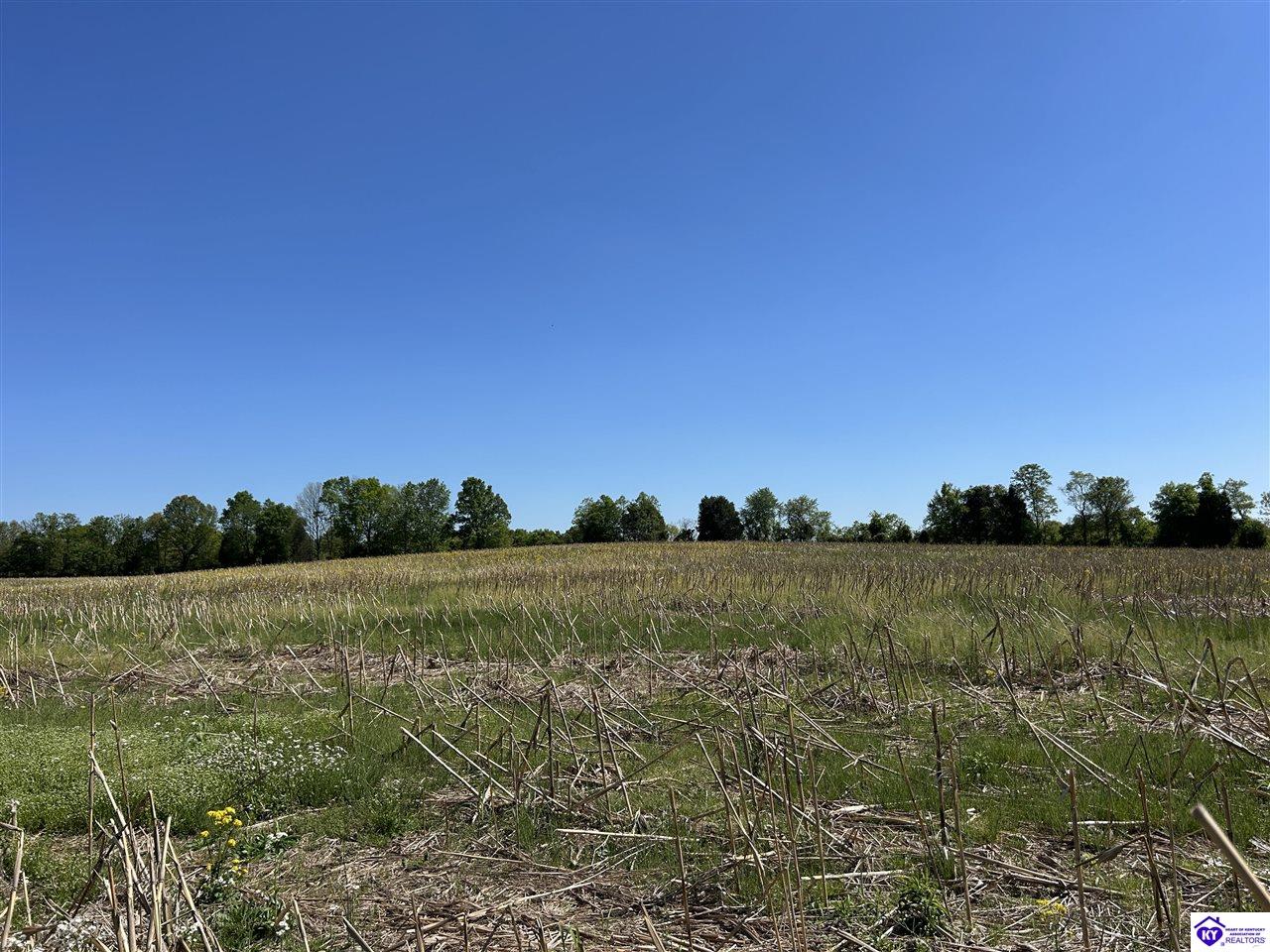 Post Tousey Road Property Photo 72