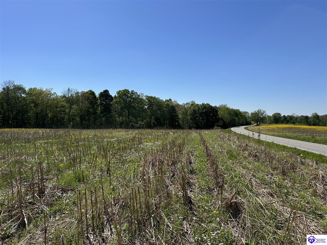 Post Tousey Road Property Photo 73