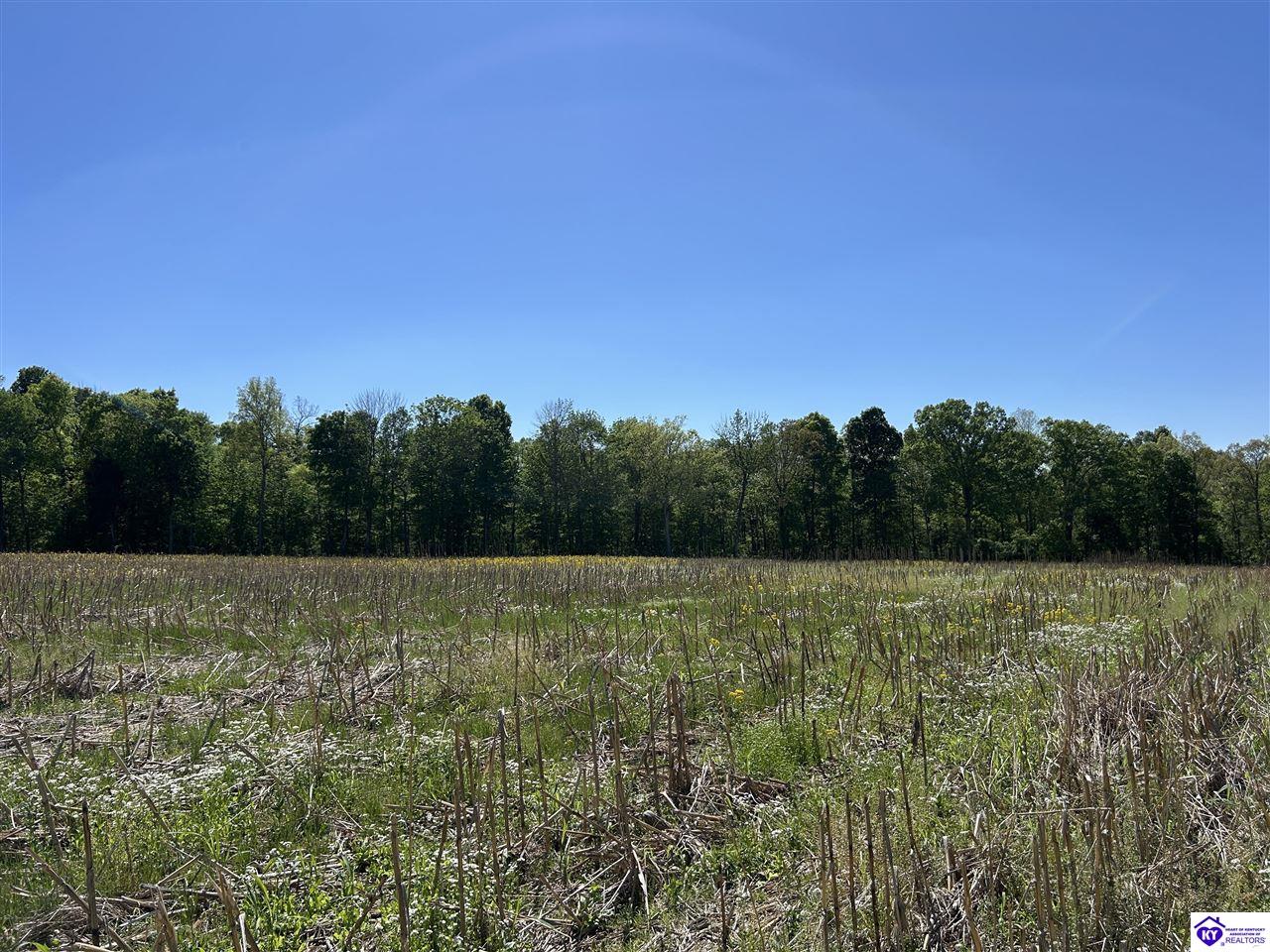 Post Tousey Road Property Photo 74