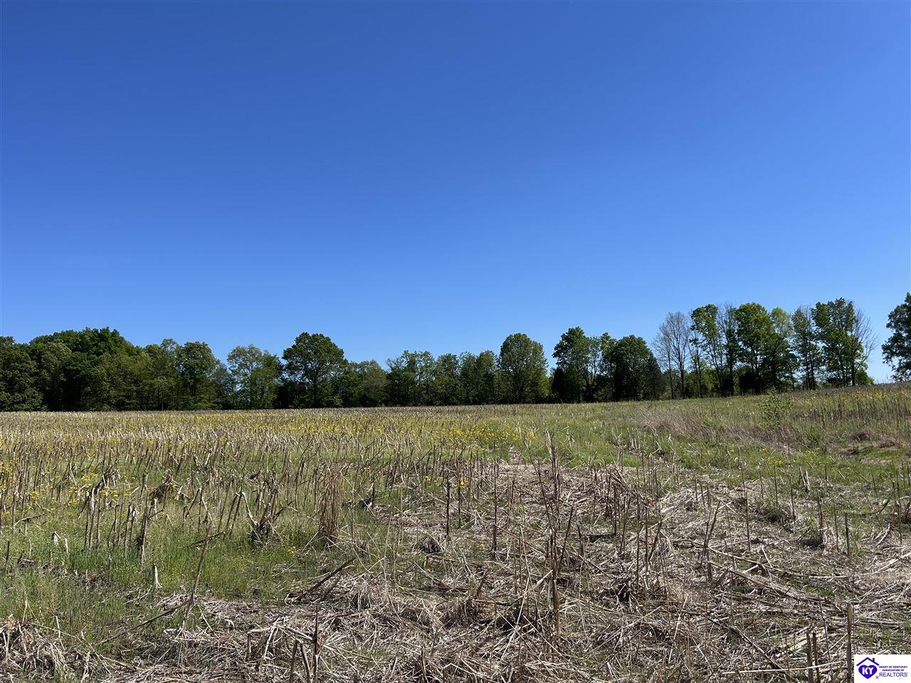 Post Tousey Road Property Photo 76