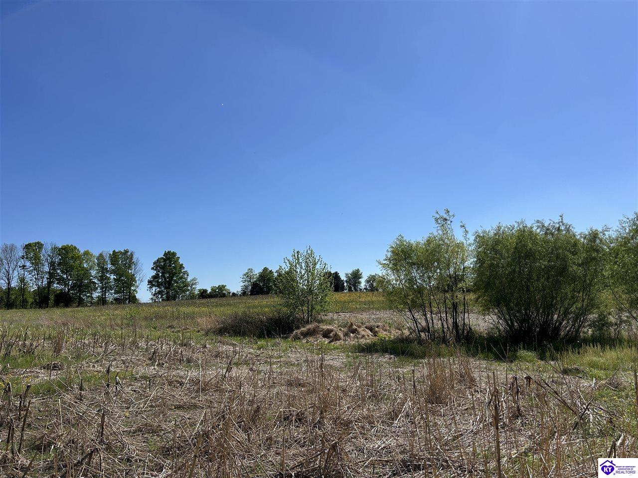 Post Tousey Road Property Photo 77