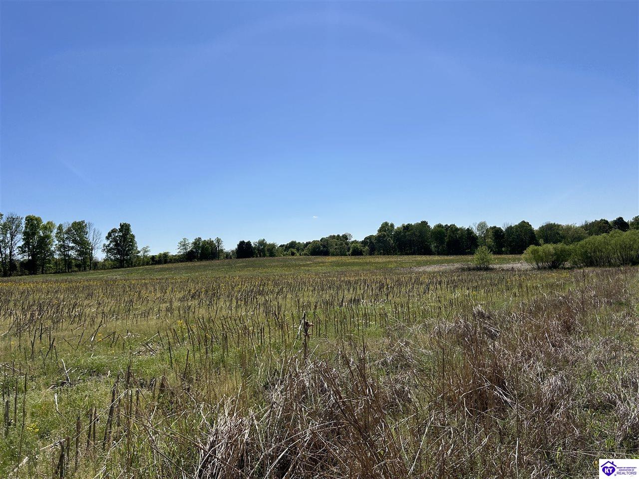 Post Tousey Road Property Photo 78