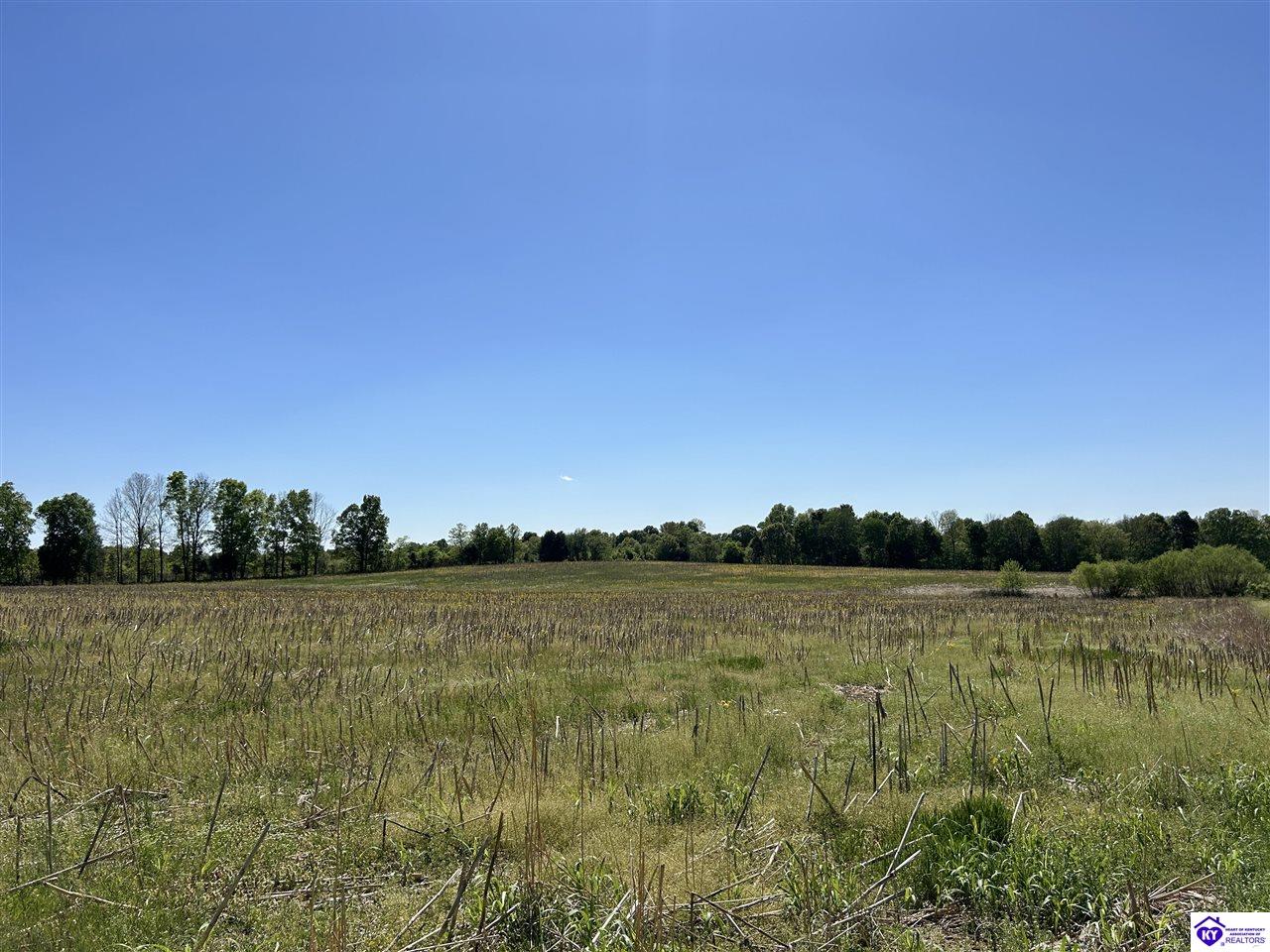 Post Tousey Road Property Photo 80