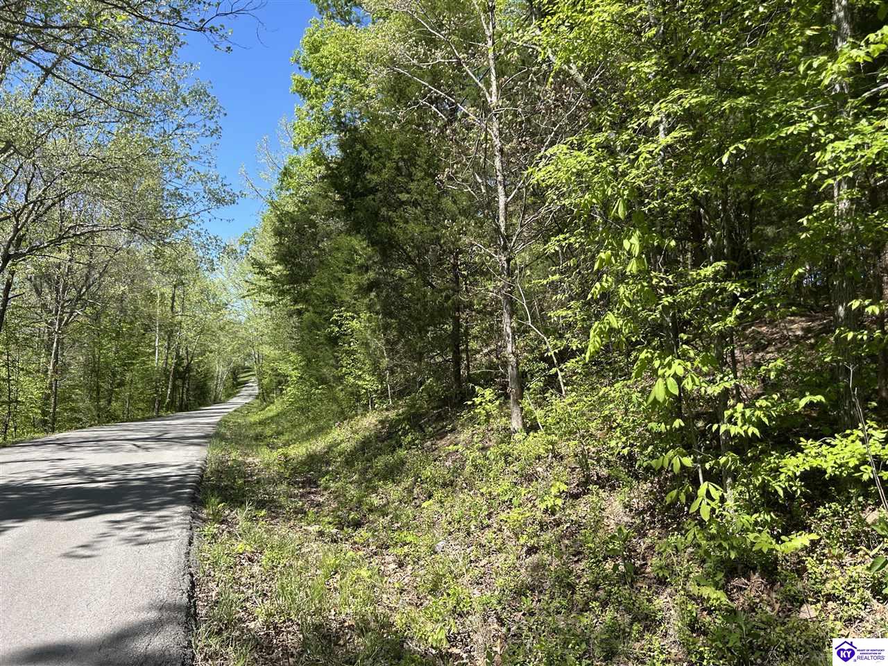 Post Tousey Road Property Photo 81