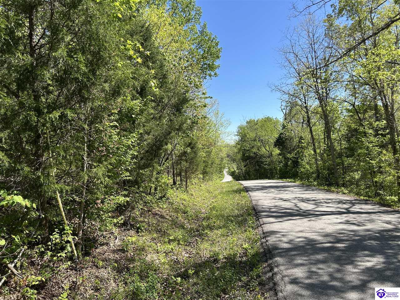 Post Tousey Road Property Photo 82