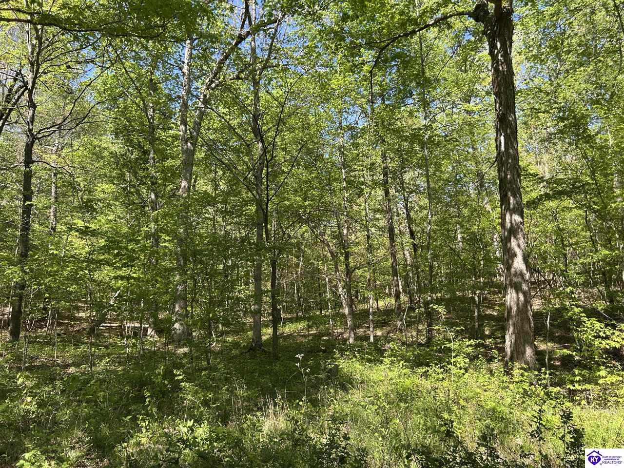 Post Tousey Road Property Photo 83