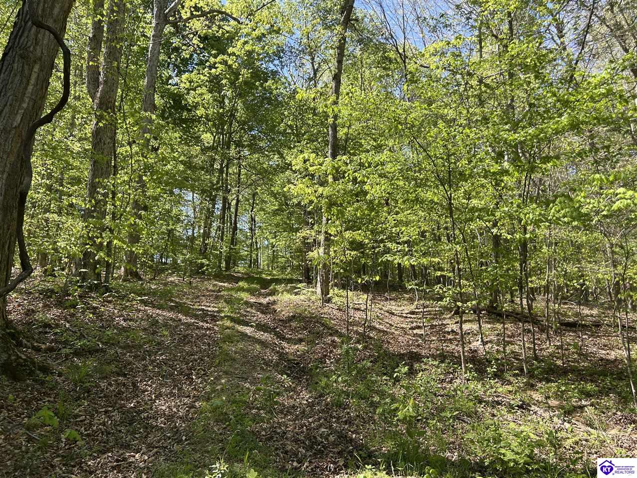 Post Tousey Road Property Photo 84