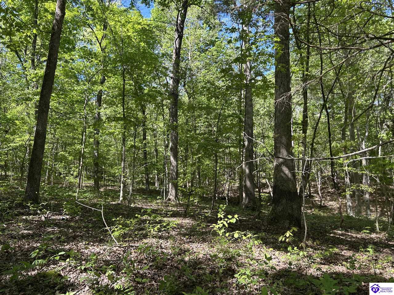 Post Tousey Road Property Photo 85