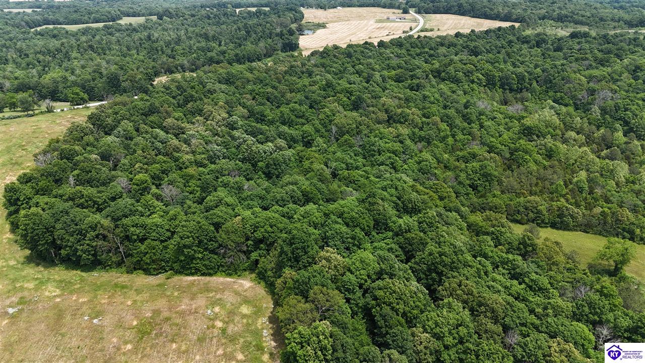 Post Tousey Road Property Photo 86