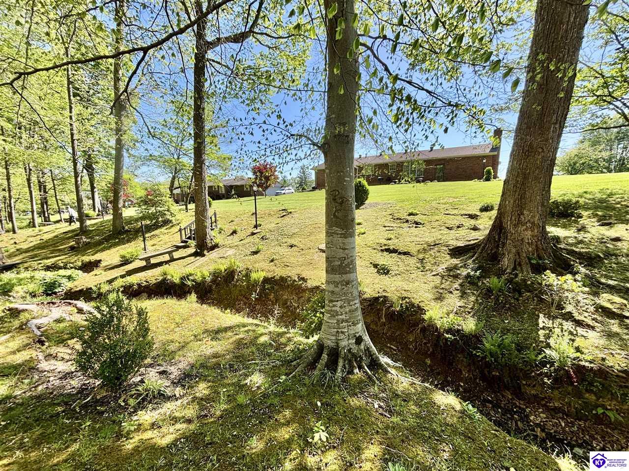 101 Mayflower Lane Property Photo 20