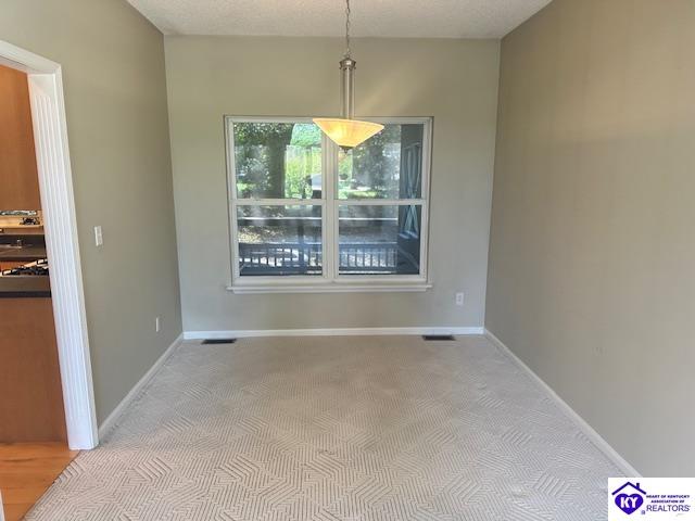 2612 Stonemill Drive Property Photo 18