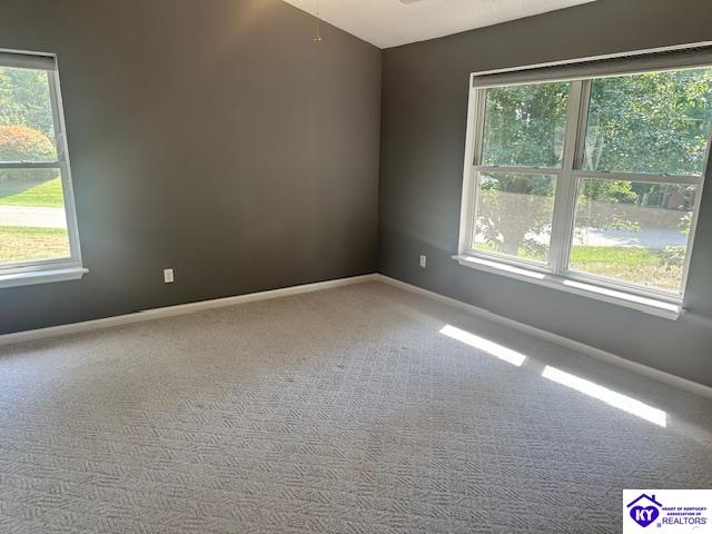 2612 Stonemill Drive Property Photo 28