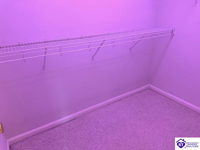 2612 Stonemill Drive Property Photo 33